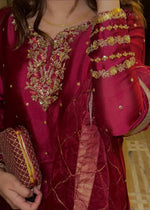 LADY IN RED - Client Diary